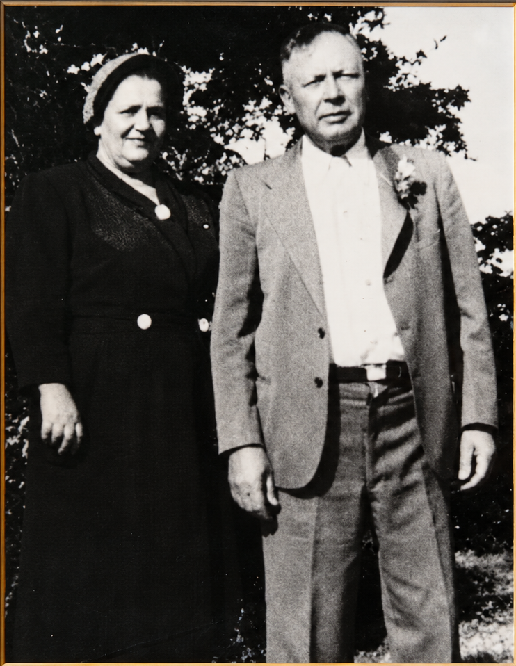Petrella family history display